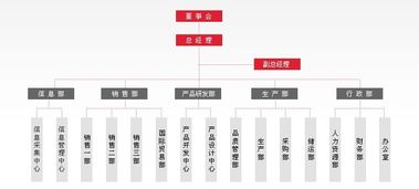 上海點碩科技 專業網站建設、小程序開發與全網綜合營銷服務